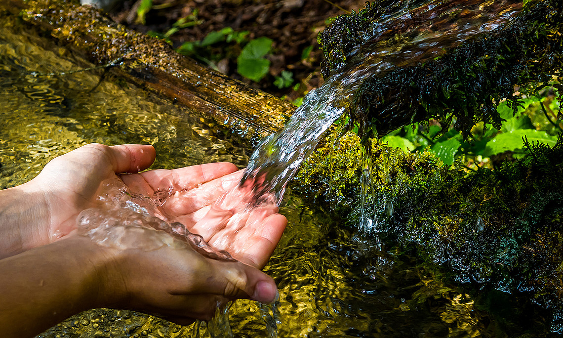Hands formed into a bowl catch fresh mountain spring water