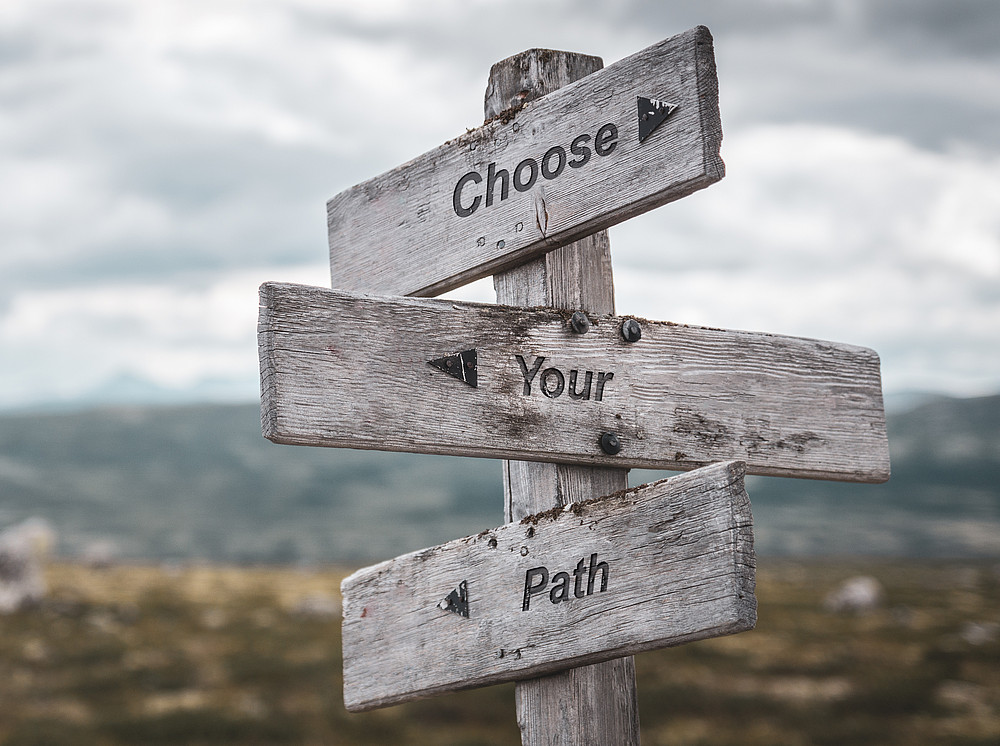 choose your path text engraved on wooden signpost ©By Jon Anders Wiken; stock.adobe.com