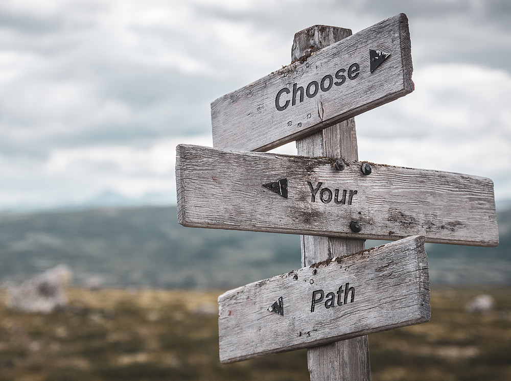 choose your path text engraved on wooden signpost ©By Jon Anders Wiken; stock.adobe.com