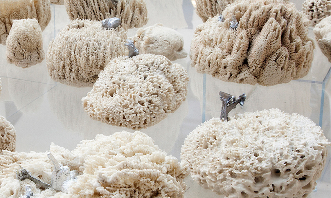 Das Projekt „Naturally Hypernatural“ untersucht das Verhältnis zwischen Natur und Kunst. Objekt: Suzanne Anker, Biota 2011. 