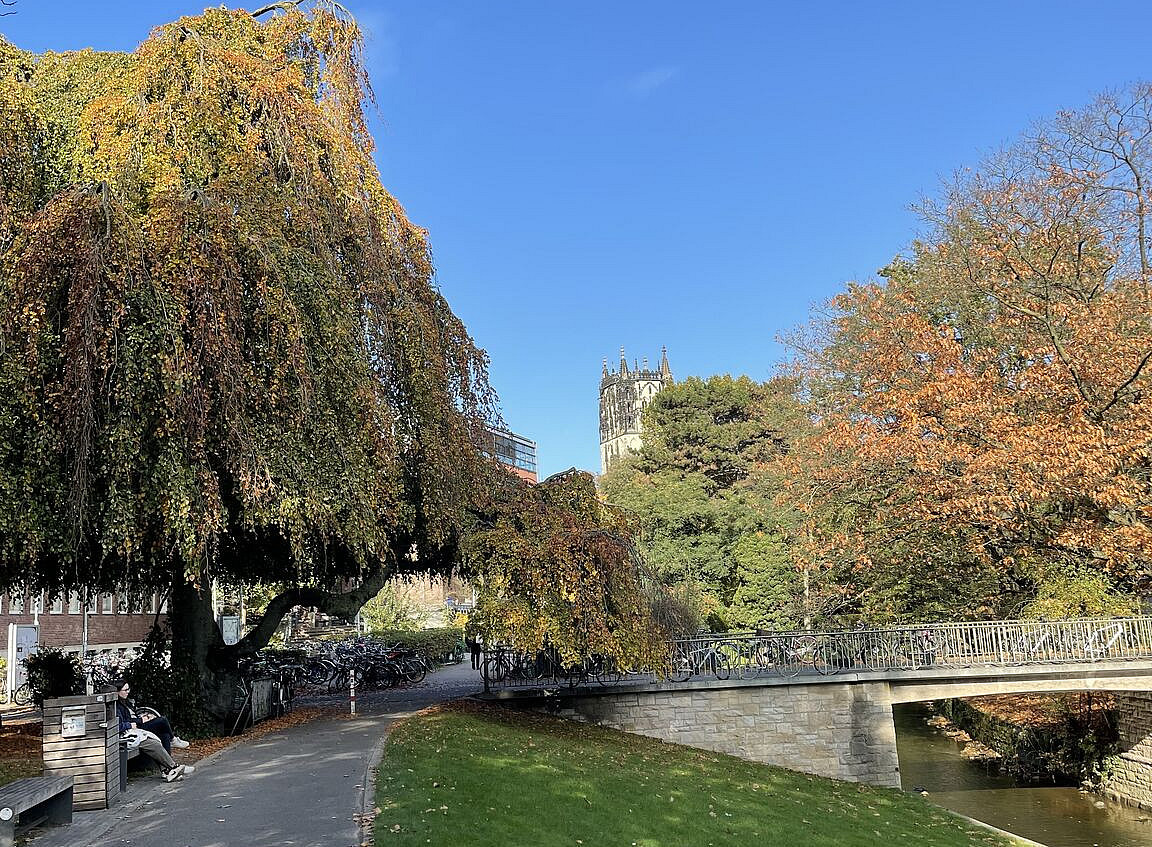 Münster Altstadt 