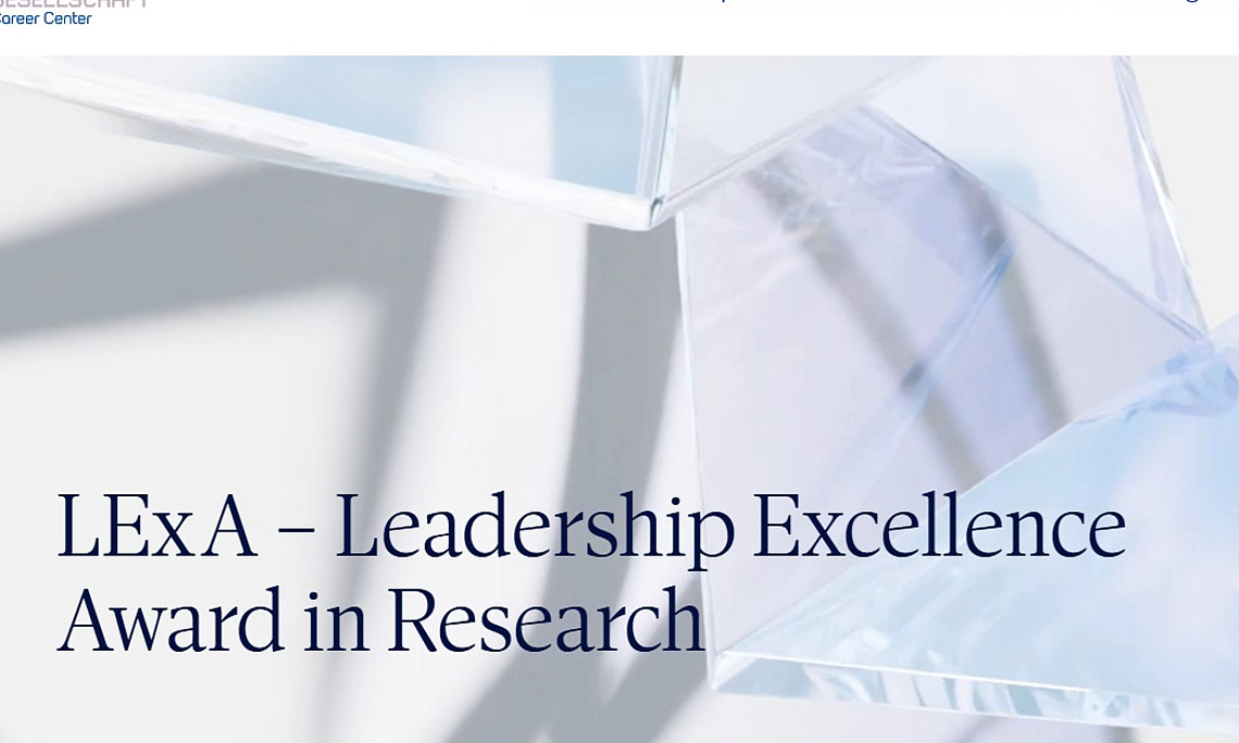 Screenshot von LBG Career Center Website