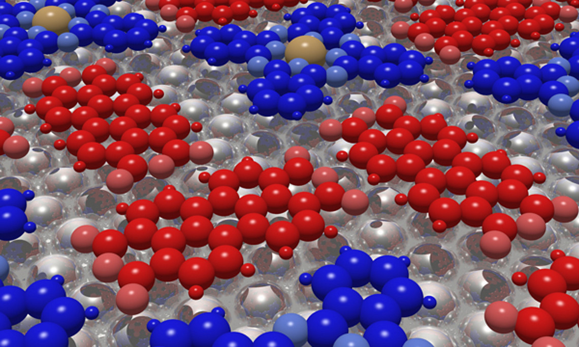 Die Moleküle PTCDA (rot) und CuPc (blau) adsorbieren auf einer Silberoberfläche. Bild: Daniel Lüftner