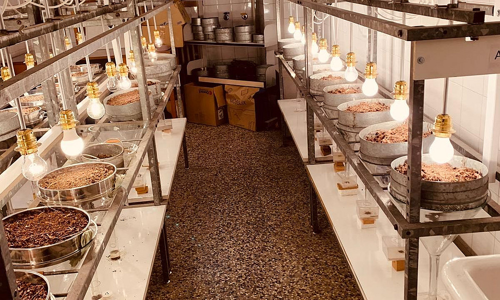 Blick in den Berleseraum ©unigraz/michaela_kerschbaumer