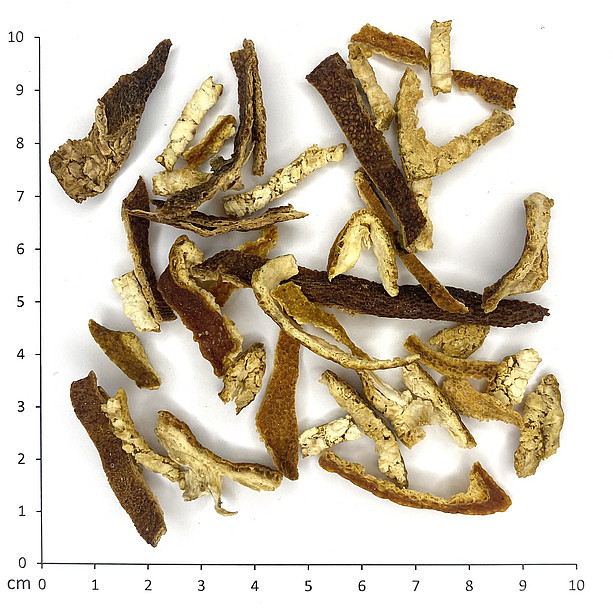 Mandarinenschalen ©Uni Graz - Bucar/Tropper