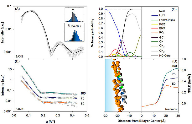 Analyse von Peptiden 