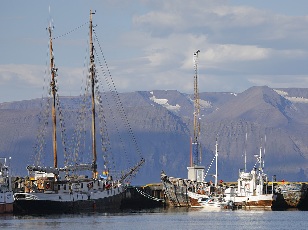 Hafen in Island mit Whale Watching Boot 