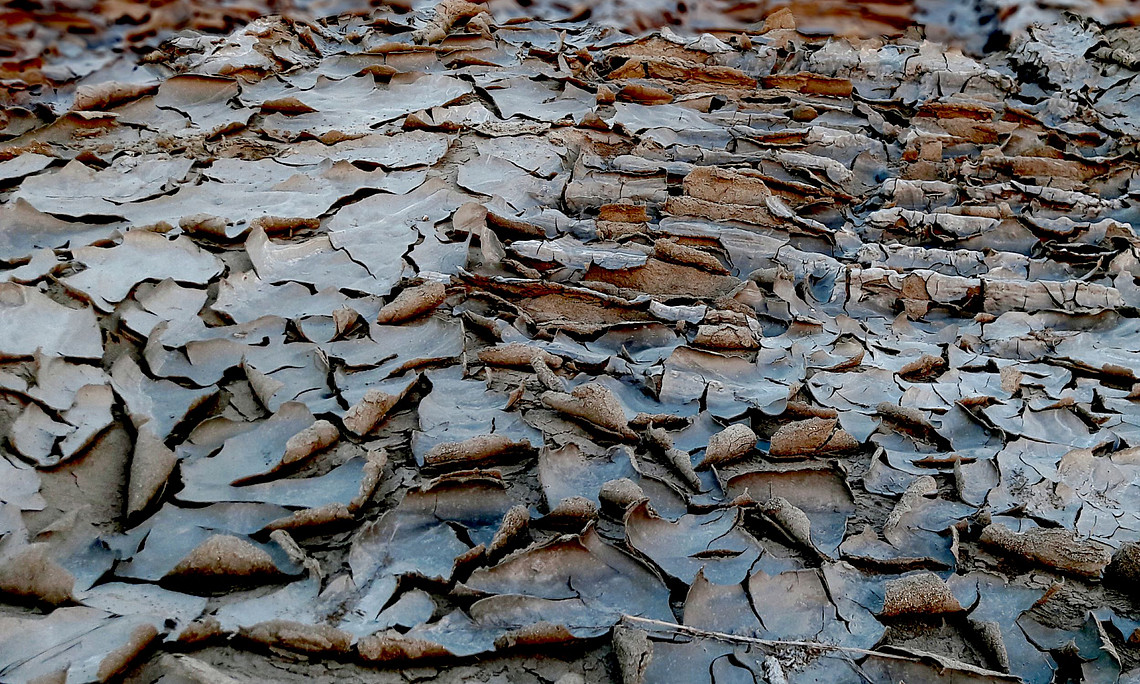 Soil bark dried out by heat. Wikimedia Commons/Saiful Khandaker (Hridoy)
