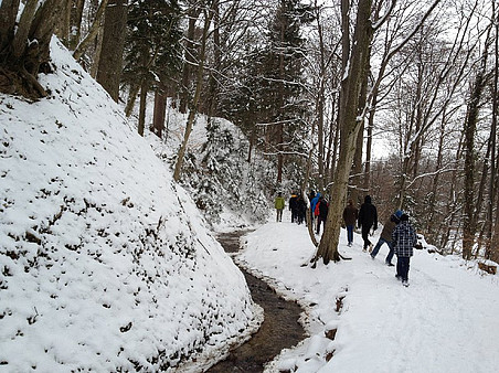 Modellierungswoche 2013 