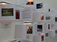 Special Activity ©Maria Niedermayr
