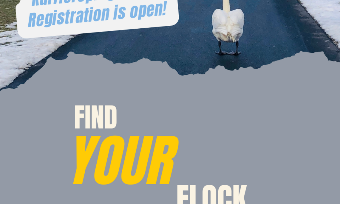 Photo von Schwan, Canva-Grafik zu Join a Career Development Programme