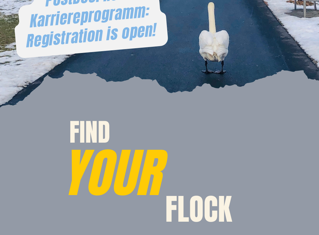 Photo von Schwan, Canva-Grafik zu Join a Career Development Programme 