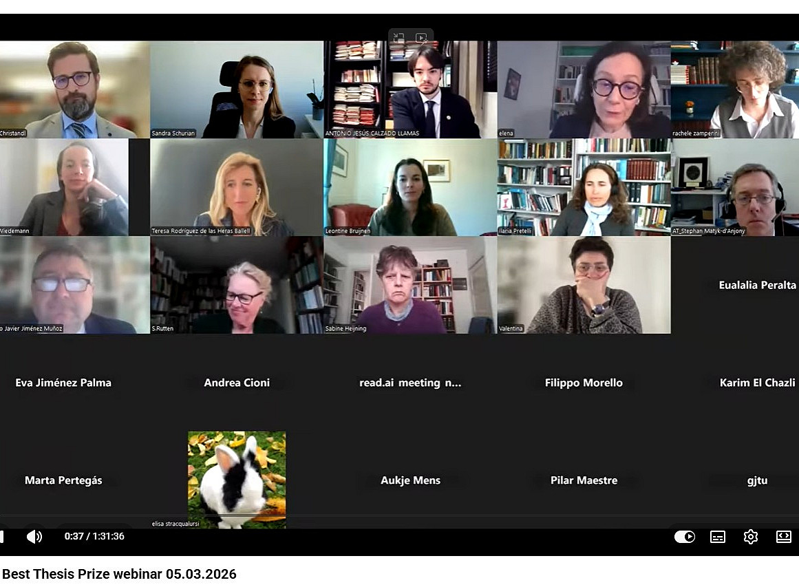 Screenshot Video Webinar 