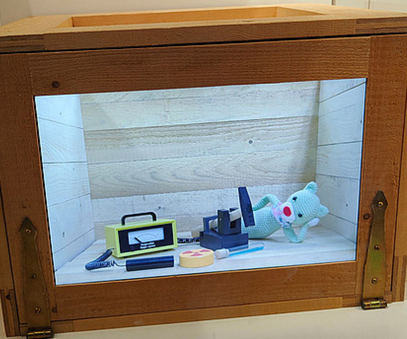 Exhibit on Schrödinger's cat in the permanent exhibition on atomic physics at the Deutsches Museum in Munich. Image source: Schoklitsch – TU Graz