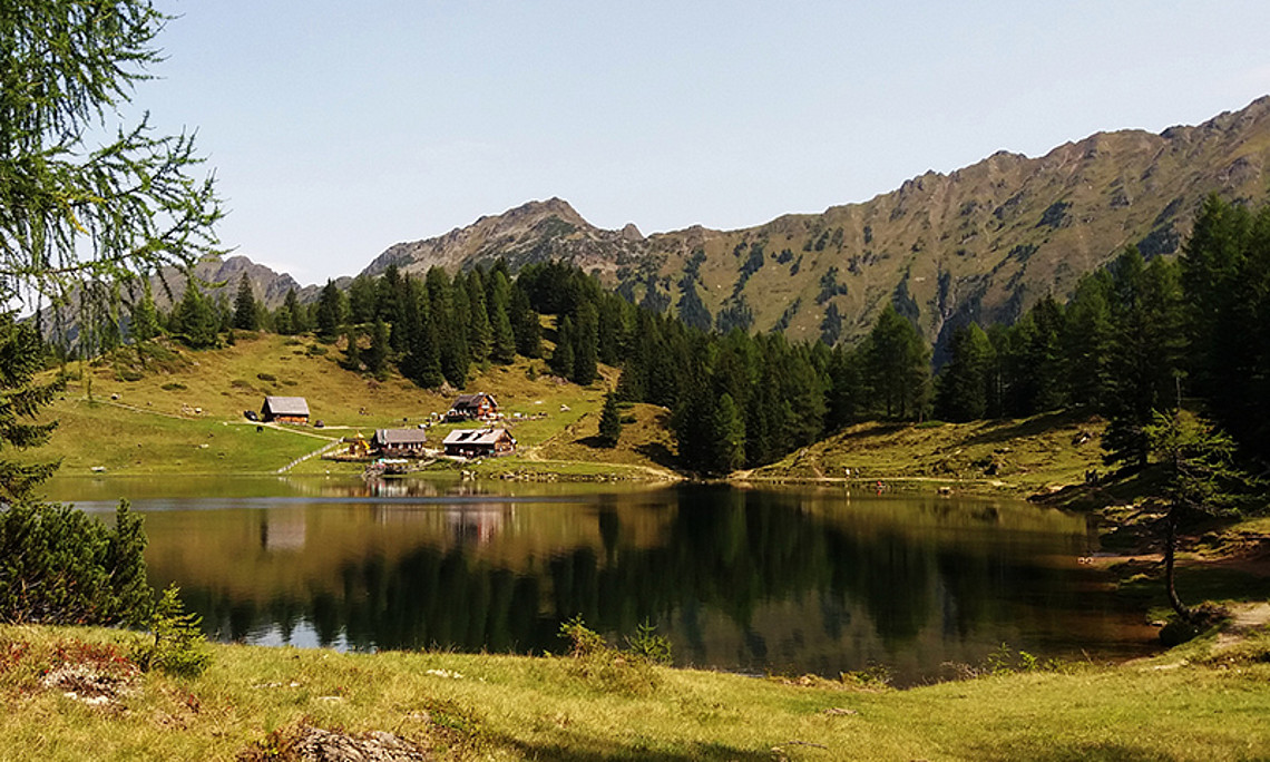 Natur am Rückzug: Forscher sagen in den kommenden 100 Jahren Rückgang von alpinen Lebensraumtypen von bis zu neunzig Prozent voraus, wenn der Klimawandel nicht gebremst wird. Foto: Ennstaler/pixabay.com