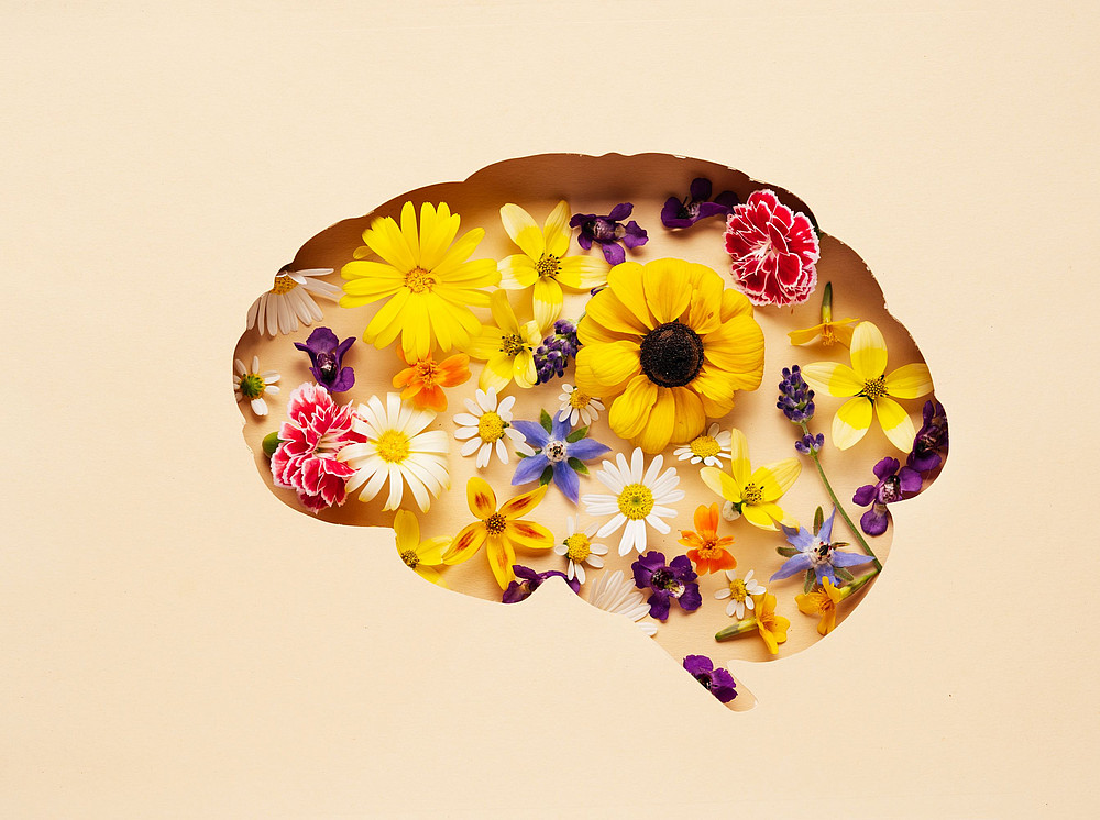 Brain filled with flowers against a yellow background symbolizes the DigIDe 2.0 project ©Katecat - stock.adobe.com