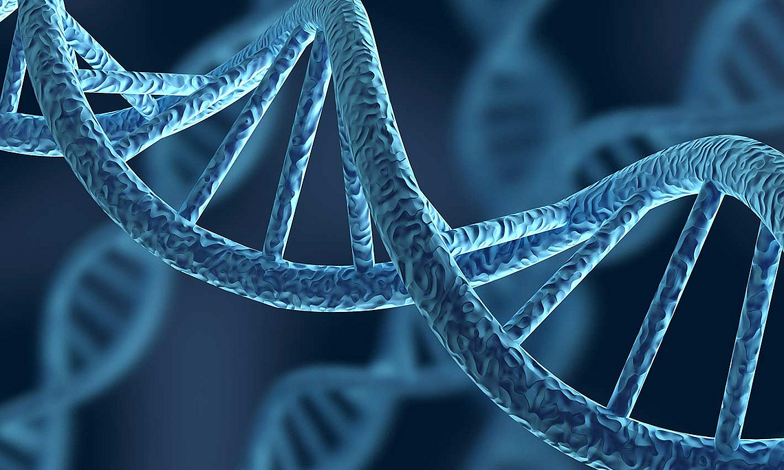 grafische Darstellung von DNA-Strängen