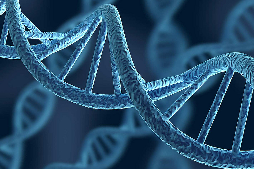 grafische Darstellung von DNA-Strängen