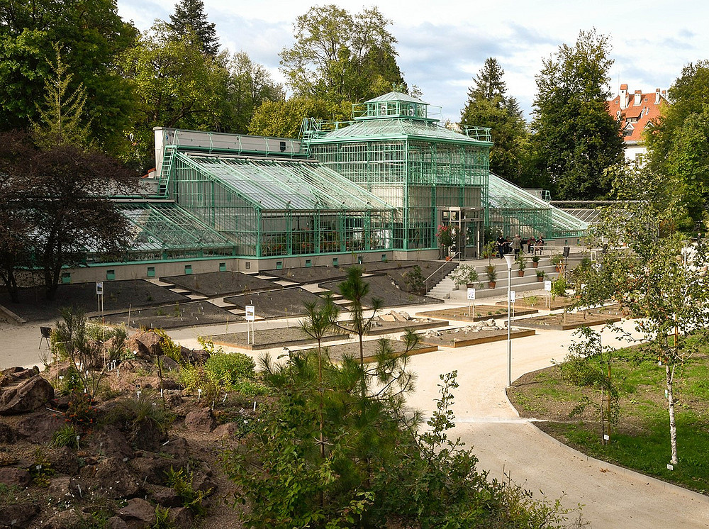 Das historische Gewächshaus des Botanischen Gartens als Ort der Trauung ©Uni Graz - Grube