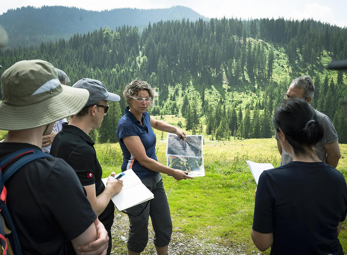 Nationalpark Gesäuse wird zum Freilandlabor 