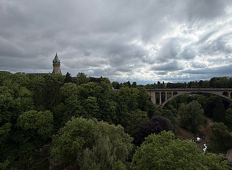 Landschaft 
