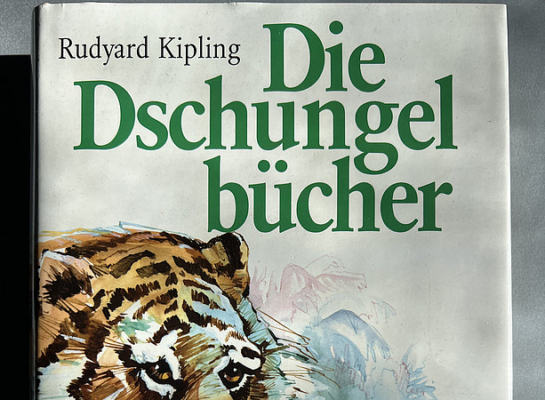 Die Dschungelbücher 