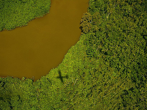 Vogelperspektive einer grünen Landschaft, die ein Forschungsprojekte symbolisieren soll. ©Christina Korak