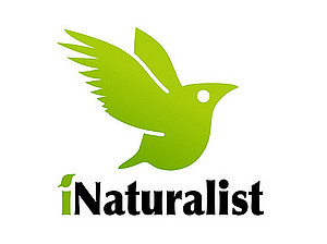 iNaturalist Logo ©iNaturalist