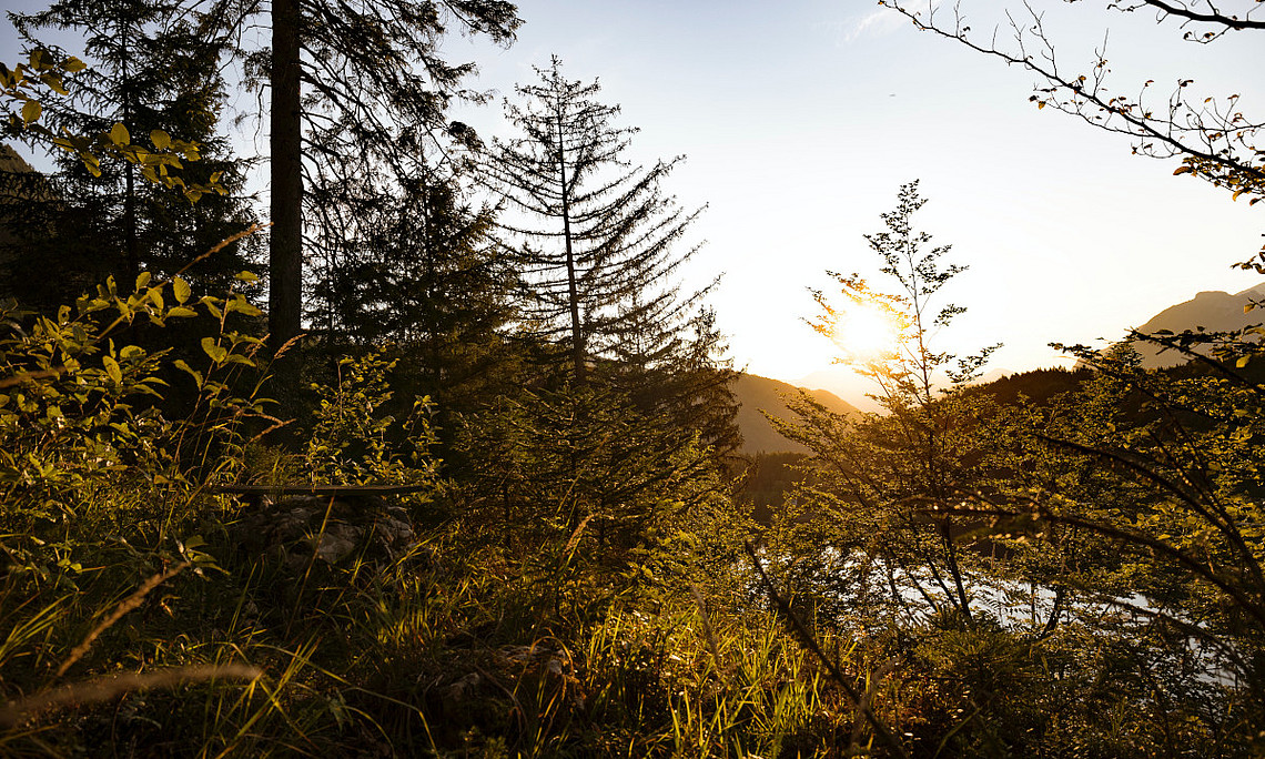 Credits: unsplash/Benjamin Kaufmann