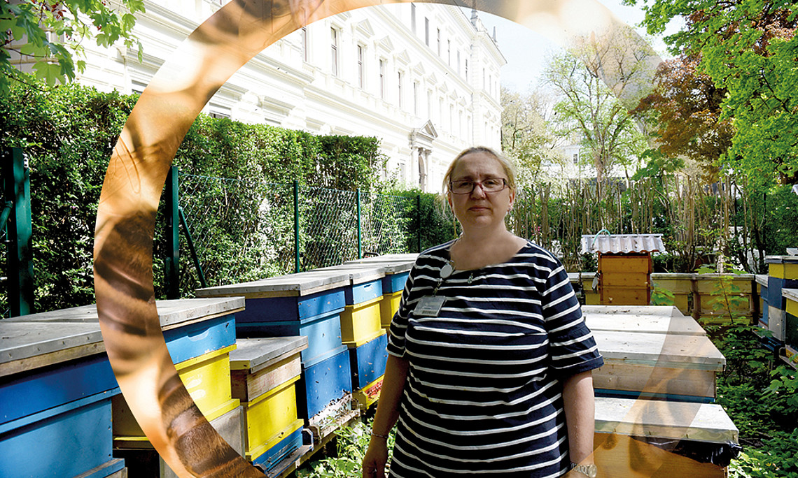 Jutta Vollmann: "Bienen gehören zu den am besten untersuchten Lebewesen, und trotzdem wissen wir so vieles noch nicht.“ Foto: Uni Graz/Schweiger 