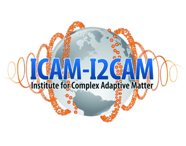 ICAM Logo 