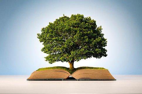 Baum der aus einem Buch wächst ©Brian Jackson - stock.adobe.com
