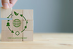 Circular Economy concept presented on wooden cubes