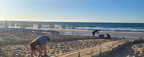 Sandweg für Schildkröten ©Global Diary | Wiesauer