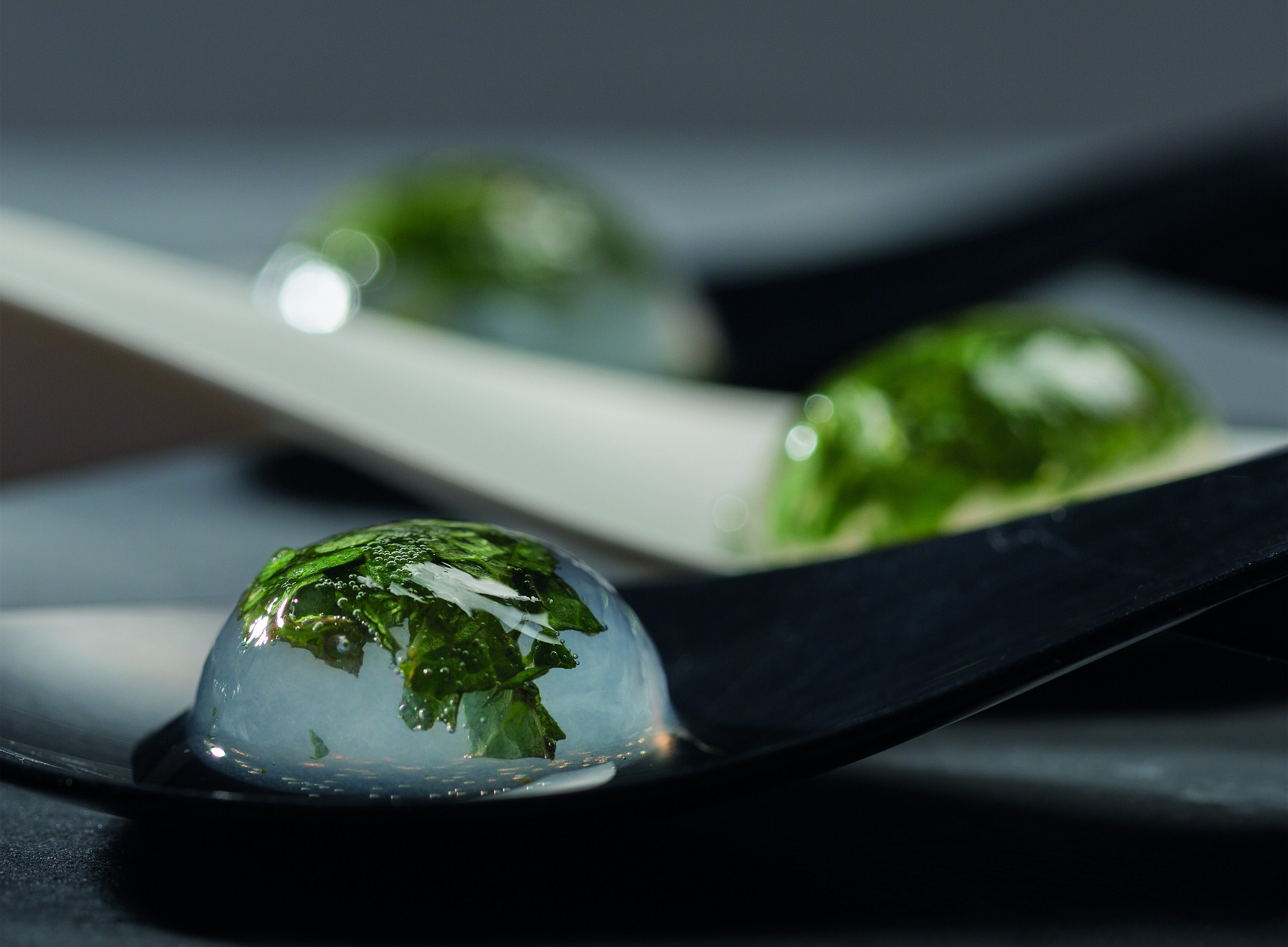 molekulare Küche ©Lepuschitz Verena