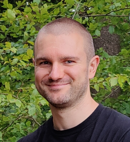 Bild David 