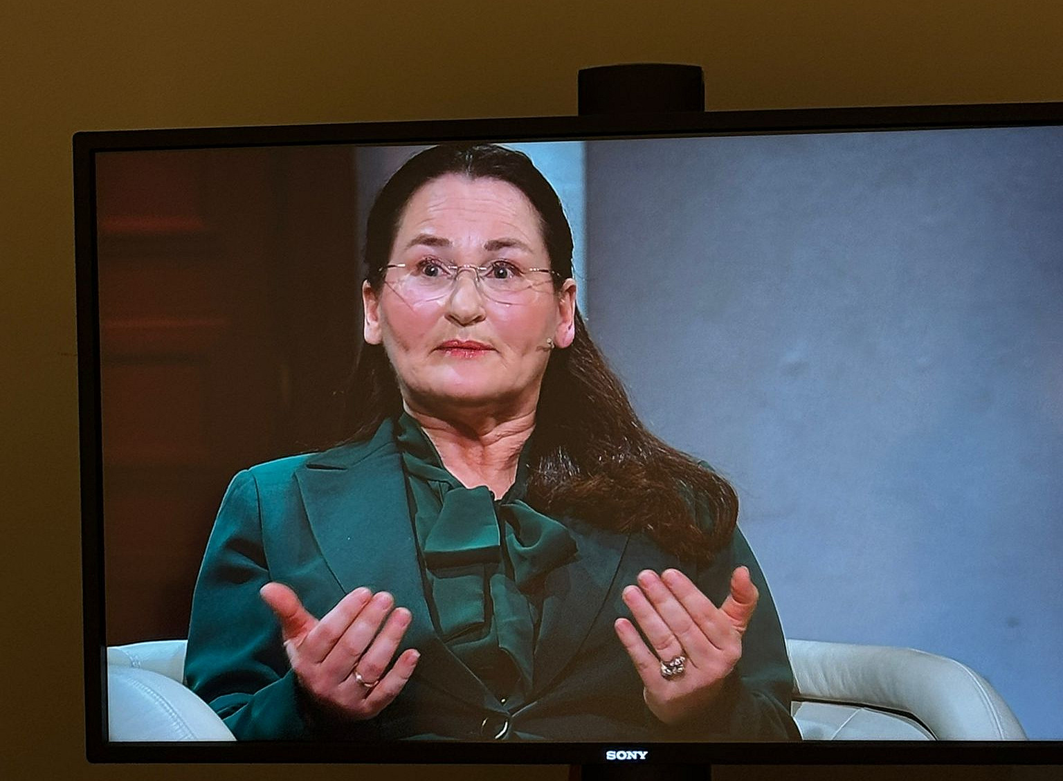 Prof. Karimi-Schmidt in ORF-Sendung 