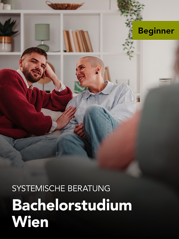 Systemische Beratung Wien 