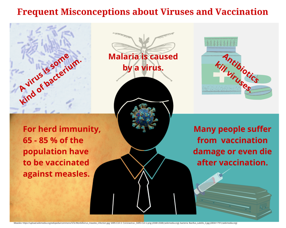 Virus Knowledge ©Eva Coll