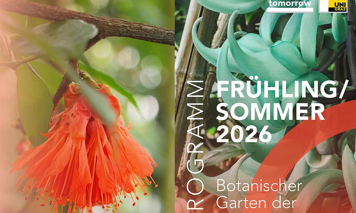 Programm SS 26