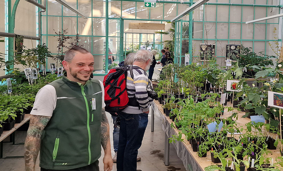 Pflanzenraritätenmarkt im Botanischen Garten: zwei Personen inmitten hunderter Gemüsepflanzen im historischen Gewächshaus.