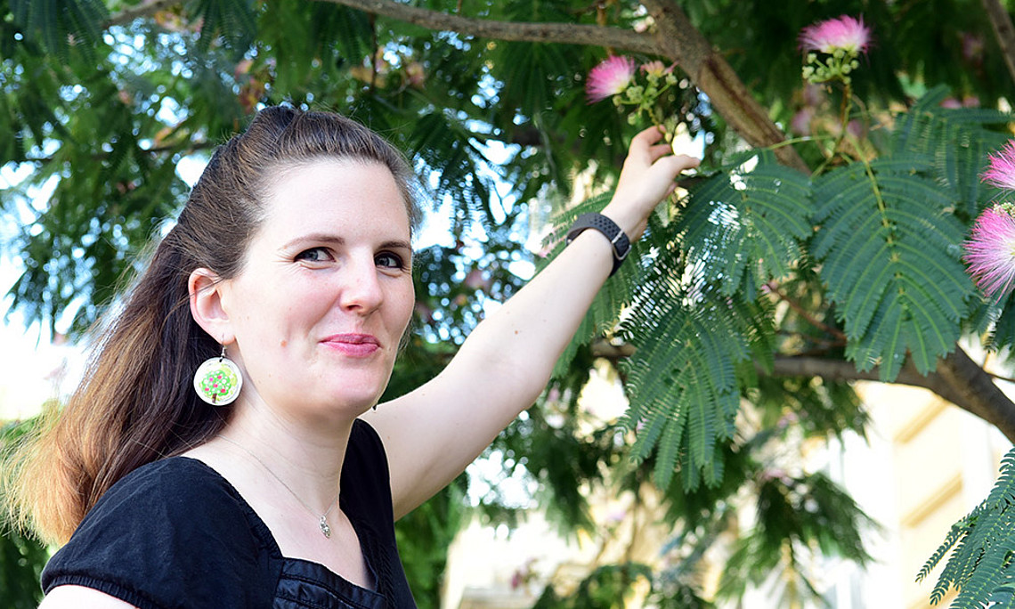 Der chinesische Seidenbaum trägt derzeit herrliche Blüten. Pia Raab interessiert sich allerdings für die entzündungshemmenden Inhaltsstoffe seiner Rinde. Foto: Uni Graz/Eklaude
