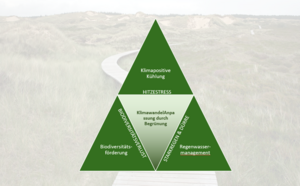 Dreieck der untersuchten Effekte. (Mitte oben) Klimapositive Kühlung Innen- und Außenraum – Hitzestress. (Rechts unten) Regenwasser – Starkregen. (Links unten) Biodiversitätsförderung – Biodiversitätsverlust. (Mitte) Klimawandelanpassung durch BegrünungDreieck der untersuchten Effekte. (Mitte oben) Klimapositive Kühlung Innen- und Außenraum – Hitzestress. (Rechts unten) Regenwasser – Starkregen. (Links unten) Biodiversitätsförderung – Biodiversitätsverlust. (Mitte) Klimawandelanpassung durch Begrünung 