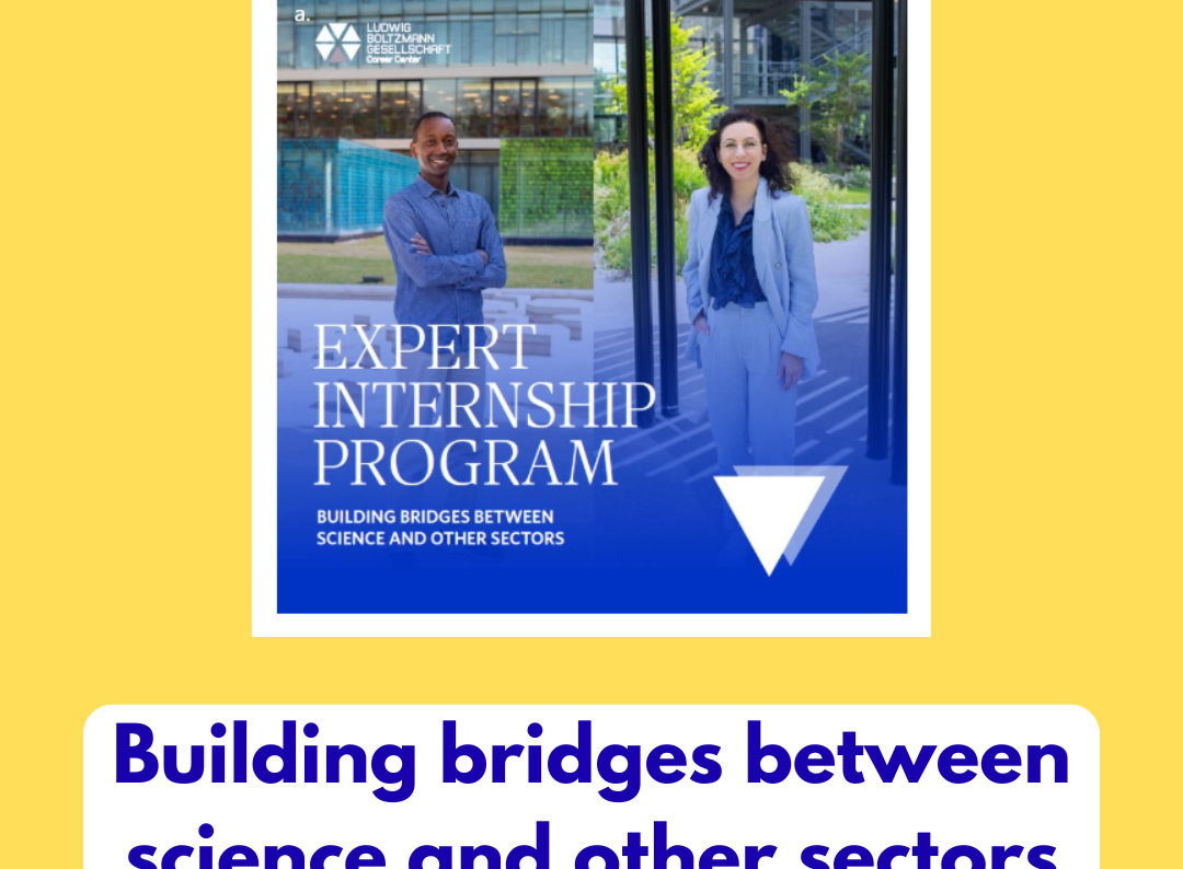 Screenshot Website LBG Career Center 