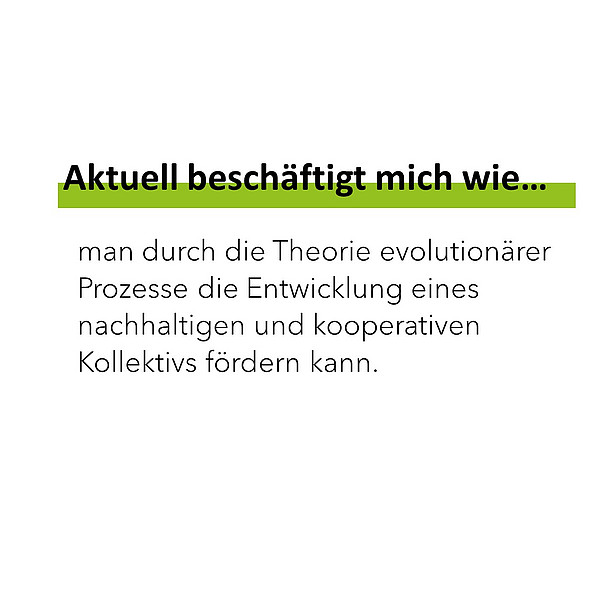 Aktuell beschäftigt mich man durch die Theorie evolutionärer Prozesse die Entwicklung eines nachhaltigen und kooperativen Kollektivs fördern kann. 