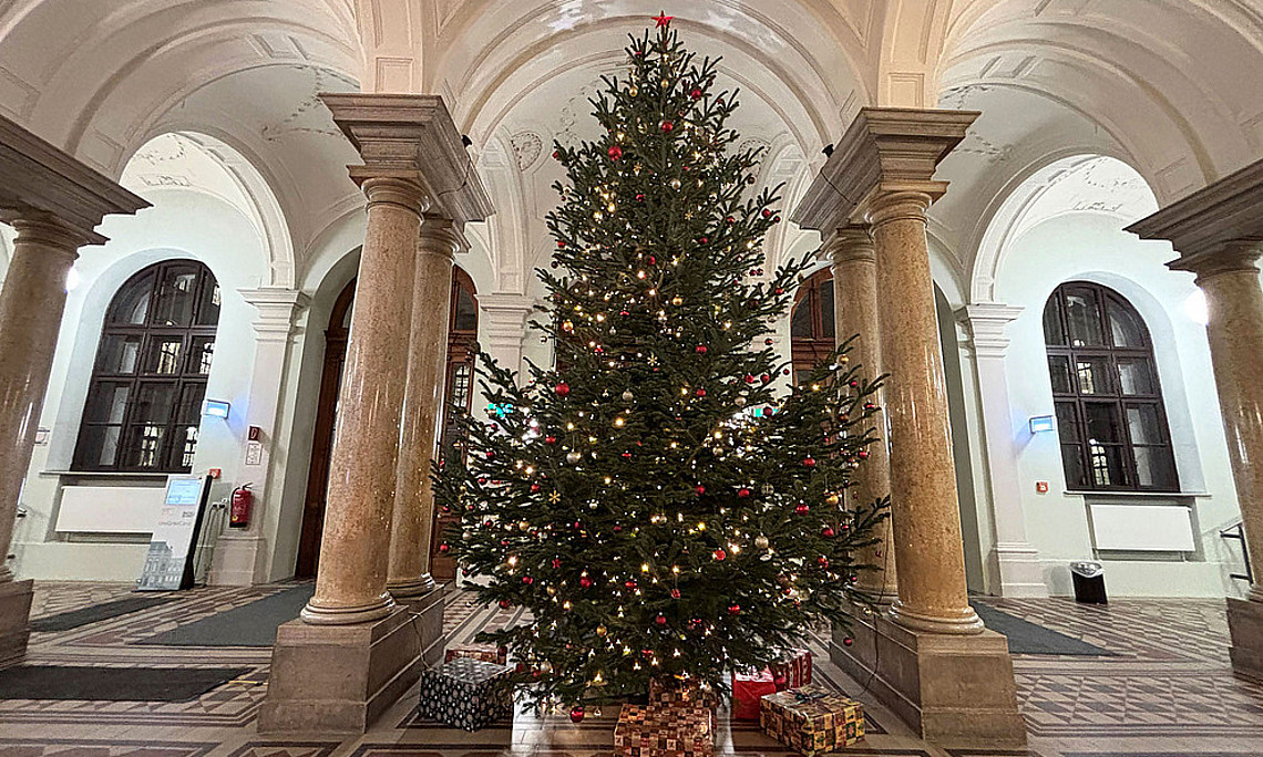 Christbaum der Uni Graz