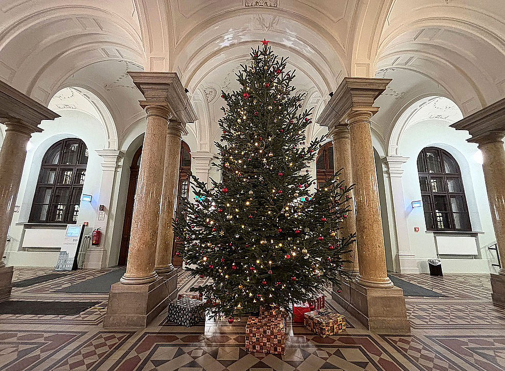 Christbaum der Uni Graz 