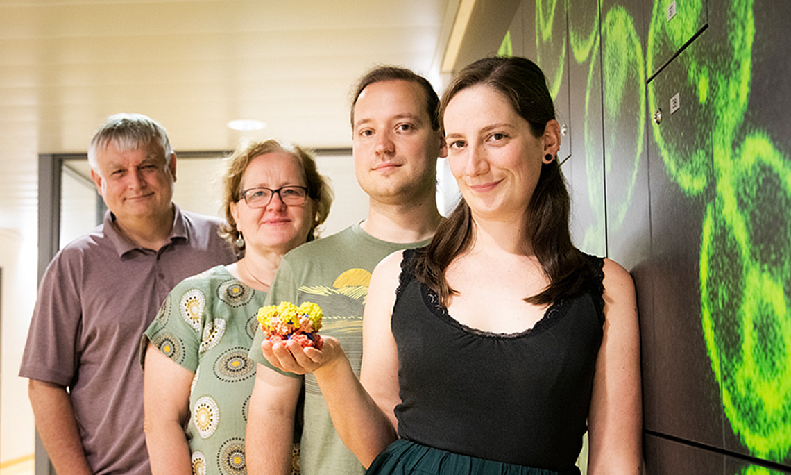 Helmut Bergler, Gertrude Zisser, Michael Prattes and Magdalena Gerhalter (from left) with a 3D print of the protein Drg1. It plays an important role in the assembly of ribosomes. Photo: Uni Graz/Tzivanopoulos. 