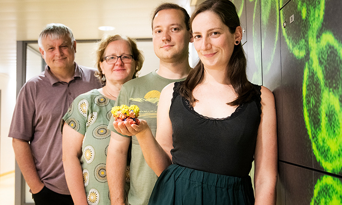 Helmut Bergler, Gertrude Zisser, Michael Prattes und Magdalena Gerhalter (v.l.) mit einem 3D-Druck des Proteins Drg1. Es nimmt im Zusammenbau der Ribosomen eine wichtige Rolle ein. Foto: Uni Graz/Tzivanopoulos. 