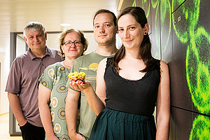 Helmut Bergler, Gertrude Zisser, Michael Prattes and Magdalena Gerhalter (from left) with a 3D print of the protein Drg1. It plays an important role in the assembly of ribosomes. Photo: Uni Graz/Tzivanopoulos. 